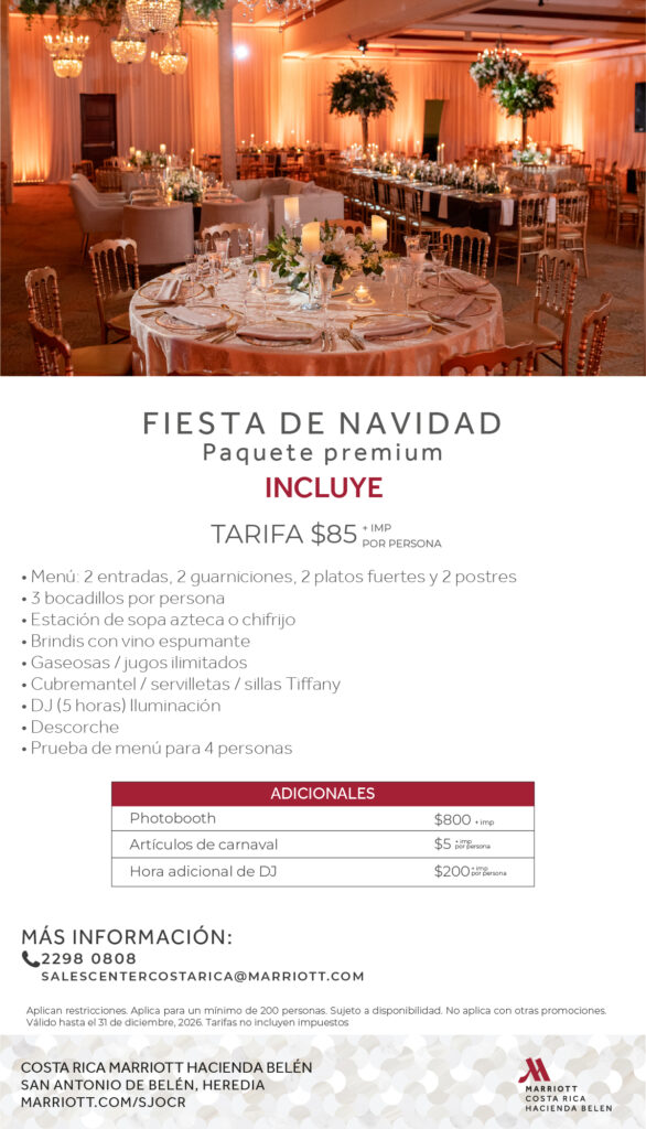 Paquete de navidad premium 